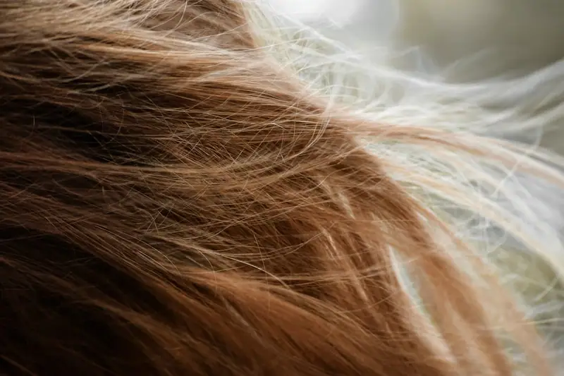 Brown hair blown by the wind