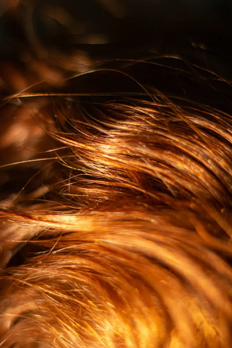 Close-up of glossy copper hair